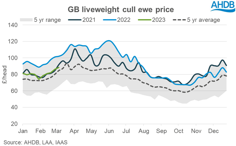 Graph showing GB cull ewe prices